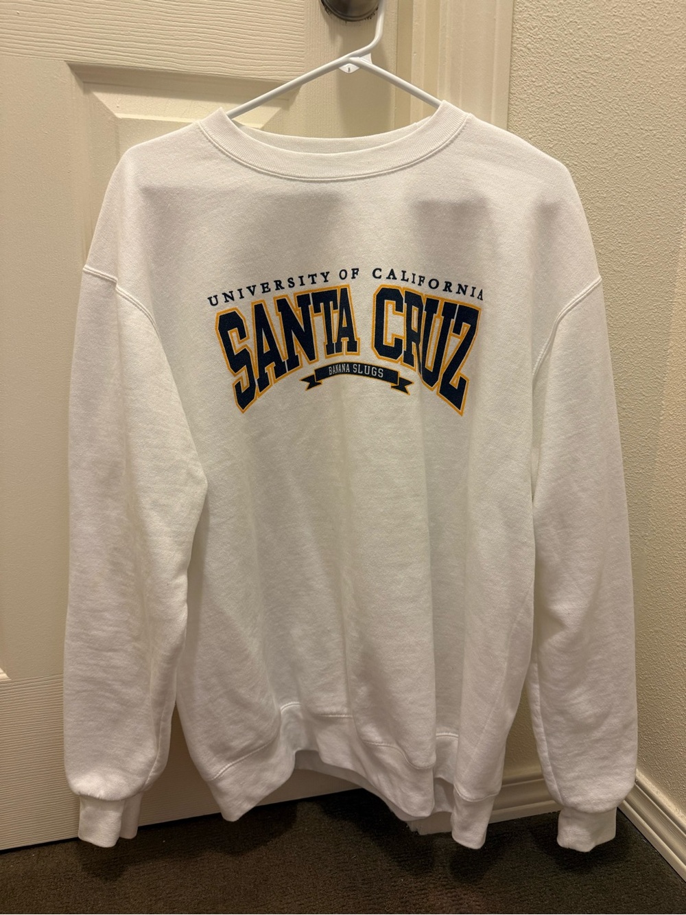 UC Santa Cruz Champion White Crewneck Sweatshirt